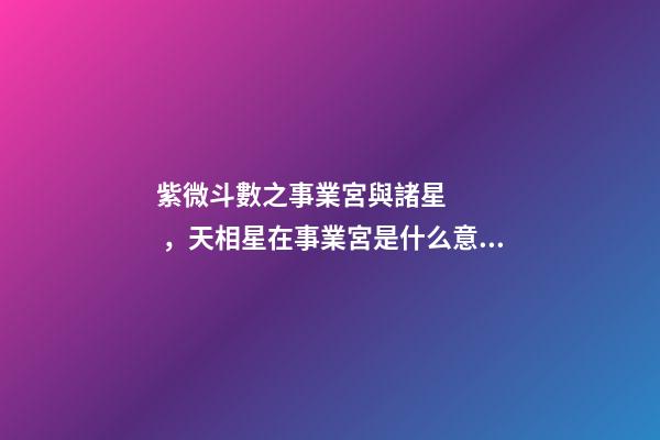 紫微斗數之事業宮與諸星，天相星在事業宮是什么意思？